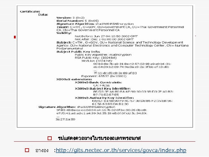 o o รปแสดงตวอยางใบรบรองอเลกทรอนกส อางอง : http: //gits. nectec. or. th/services/govca/index. php 