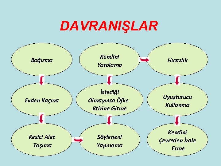 DAVRANIŞLAR Bağırma Kendini Yaralama Hırsızlık Evden Kaçma İstediği Olmayınca Öfke Krizine Girme Uyuşturucu Kullanma