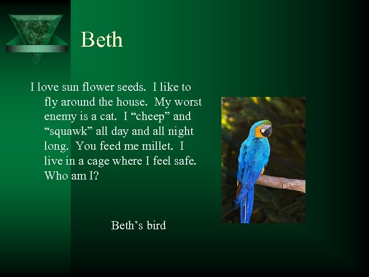 Beth I love sun flower seeds. I like to fly around the house. My