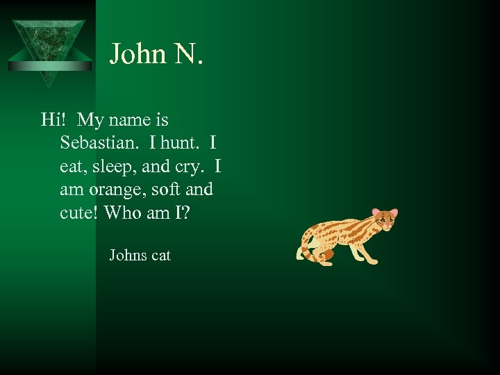 John N. Hi! My name is Sebastian. I hunt. I eat, sleep, and cry.