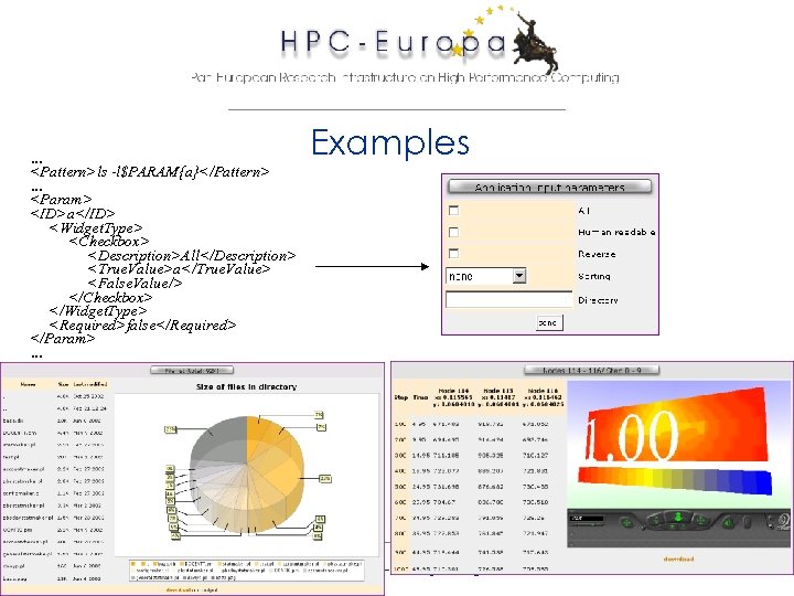 … <Pattern>ls -l$PARAM{a}</Pattern> … <Param> <ID>a</ID> <Widget. Type> <Checkbox> <Description>All</Description> <True. Value>a</True. Value> <False.