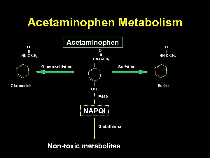 Acetaminophen Metabolism O ll HN-C-CH 3 Acetaminophen O ll HN-C-CH 3 Glucuronidation Glucuronide O