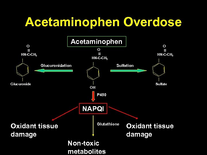 Acetaminophen Overdose Acetaminophen O ll HN-C-CH 3 Glucuronidation Glucuronide Sulfation Sulfate OH P 450