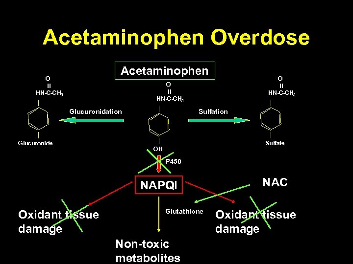 Acetaminophen Overdose Acetaminophen O ll HN-C-CH 3 Glucuronidation Glucuronide Sulfation Sulfate OH P 450