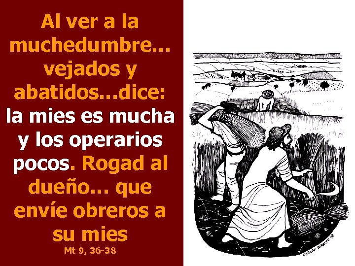 Al ver a la muchedumbre… vejados y abatidos…dice: la mies es mucha y los