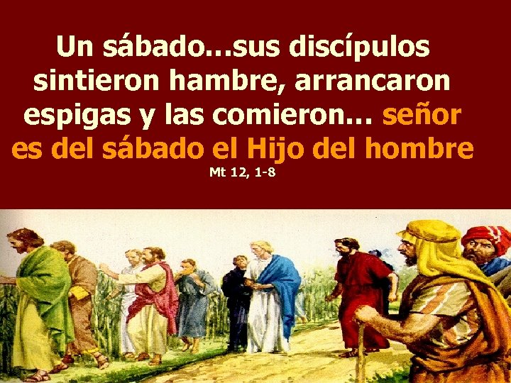 Un sábado…sus discípulos sintieron hambre, arrancaron espigas y las comieron… señor es del sábado
