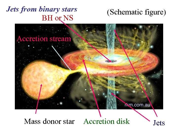 Jets from binary stars BH or NS (Schematic figure) Accretion stream Mass donor star