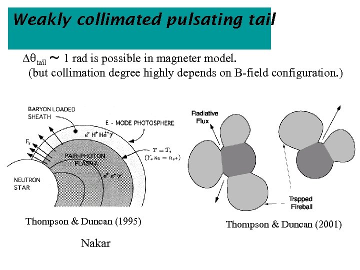 Weakly collimated pulsating tail Dqtail ～ 1 rad is possible in magneter model. (but