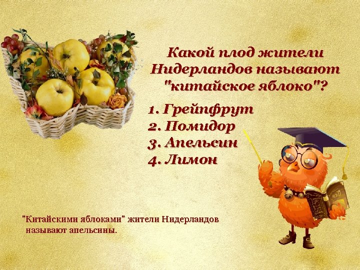 Какой плод жители Нидерландов называют 