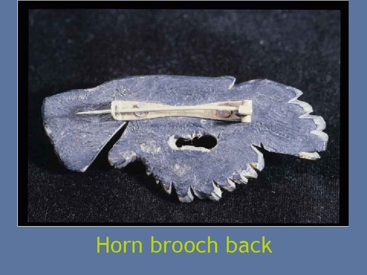 Horn brooch back 
