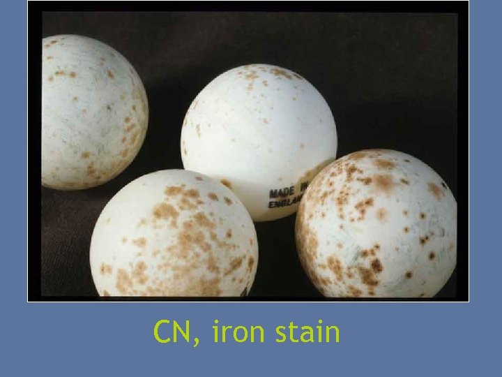 CN, iron stain 