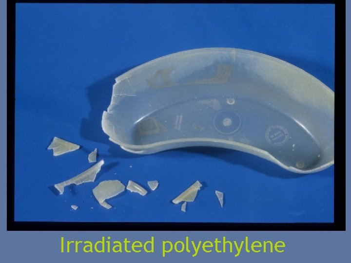 Irradiated polyethylene 