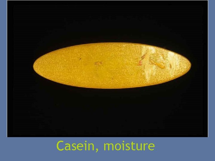 Casein, moisture 