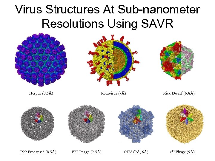 Virus Structures At Sub-nanometer Resolutions Using SAVR Herpes (8. 5Å) P 22 Procapsid (8.