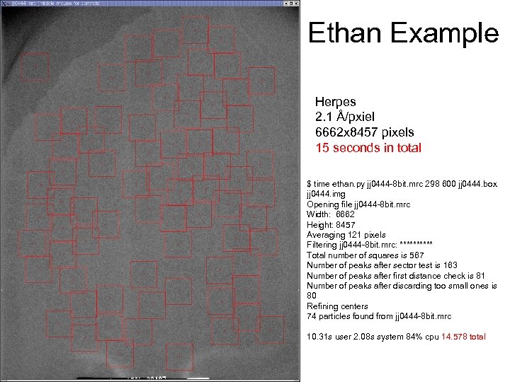 Ethan Example Herpes 2. 1 Å/pxiel 6662 x 8457 pixels 15 seconds in total