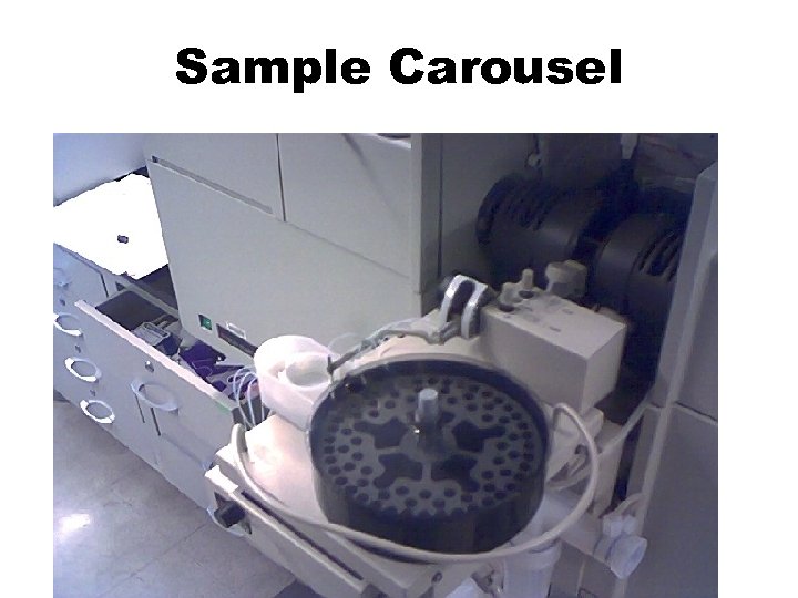 Sample Carousel 