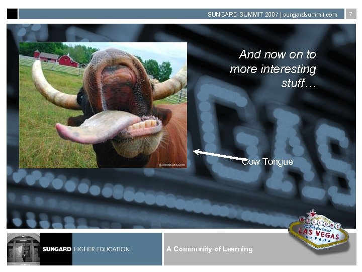 SUNGARD SUMMIT 2007 | sungardsummit. com And now on to more interesting stuff… Cow