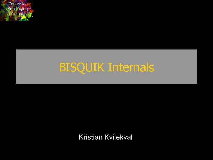 Center for Bioimaging Informatics BISQUIK Internals Kristian Kvilekval 
