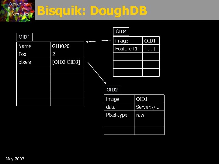 Center for Bioimaging Informatics Bisquik: Dough. DB OID 4 OID 1 Name GH 1020