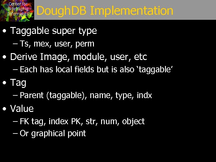 Center for Bioimaging Informatics Dough. DB Implementation • Taggable super type – Ts, mex,