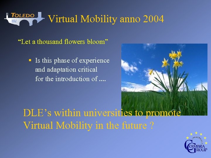 Virtual Mobility anno 2004 “Let a thousand flowers bloom” § Is this phase of