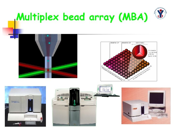 Multiplex bead array (MBA) 