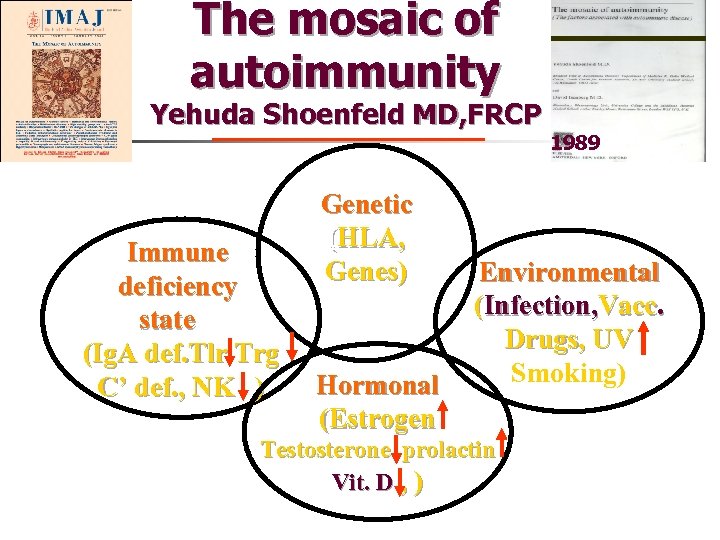 The mosaic of autoimmunity Yehuda Shoenfeld MD, FRCP Immune deficiency state (Ig. A def.