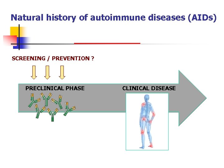 Natural history of autoimmune diseases (AIDs) SCREENING / PREVENTION ? PRECLINICAL PHASE CLINICAL DISEASE