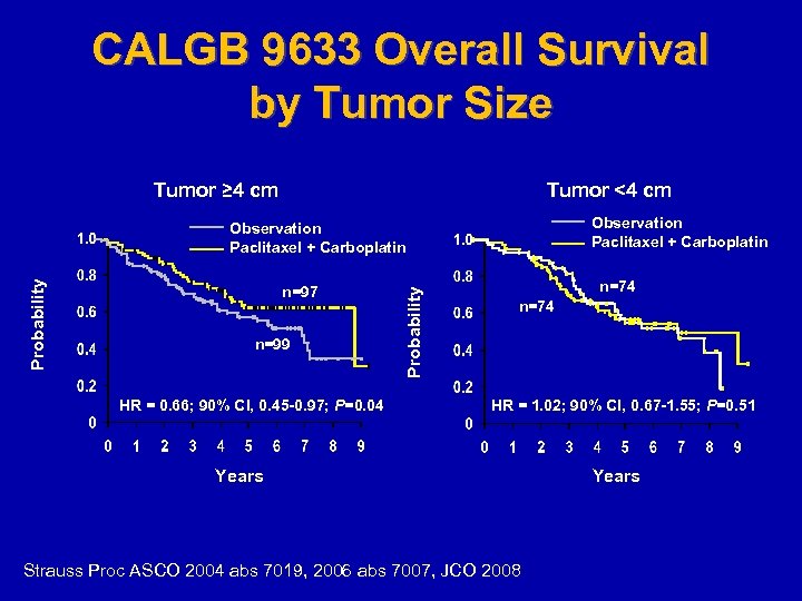 CALGB 9633 Overall Survival by Tumor Size Tumor ≥ 4 cm Tumor <4 cm