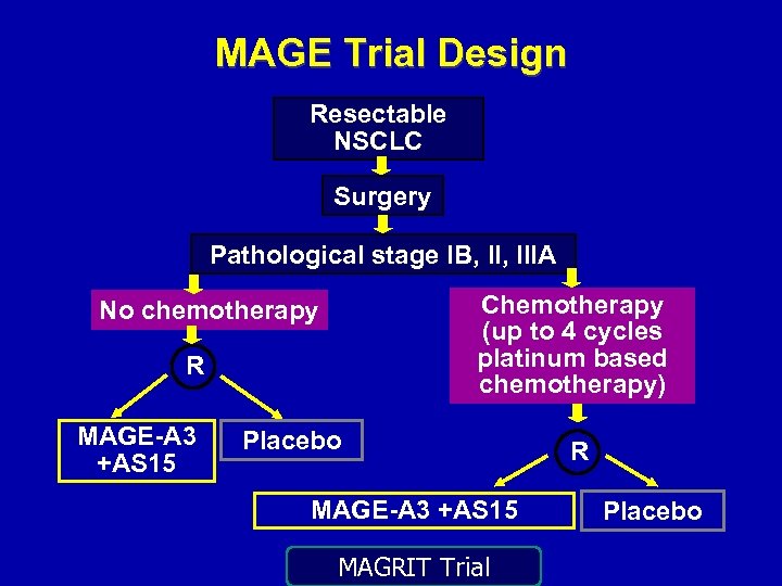 MAGE Trial Design Resectable NSCLC Surgery Pathological stage IB, IIIA Chemotherapy (up to 4