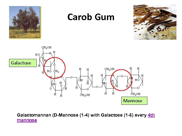 Carob Gum Galactose Mannose Galactomannan (D-Mannose (1 -4) with Galactose (1 -6) every 4