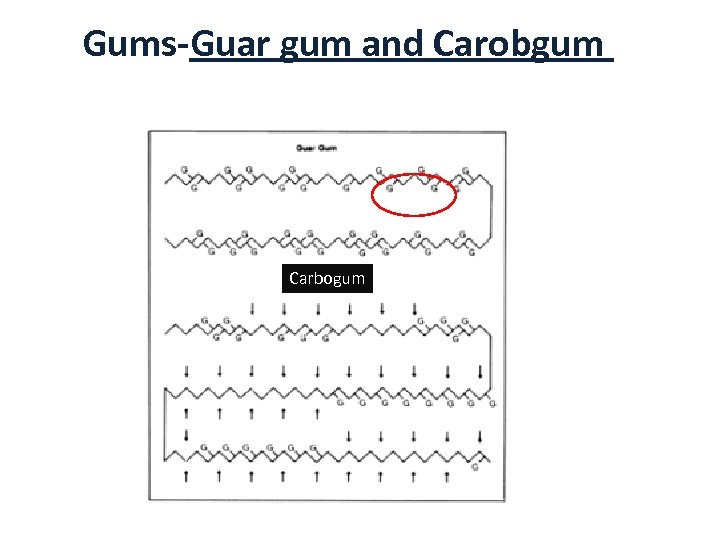 Gums-Guar gum and Carobgum Carbogum 