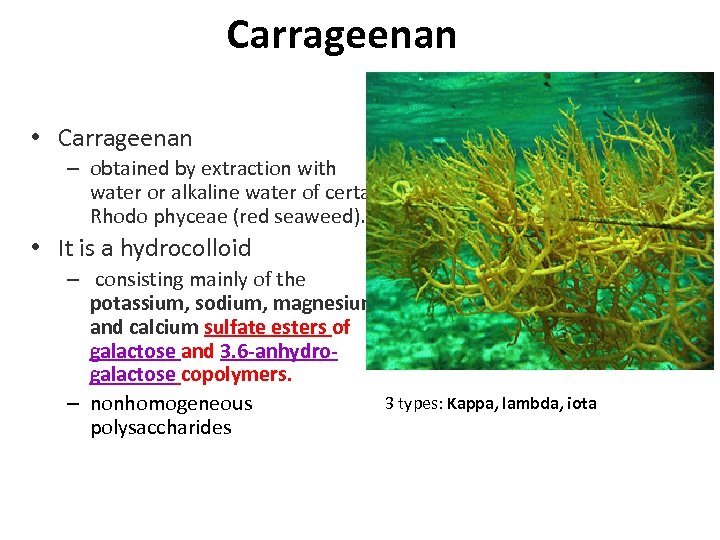 Carrageenan • Carrageenan – obtained by extraction with water or alkaline water of certain