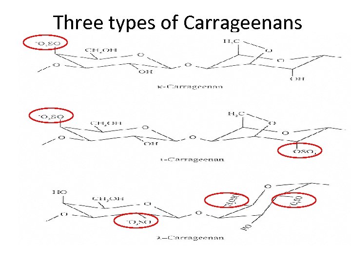  Three types of Carrageenans 