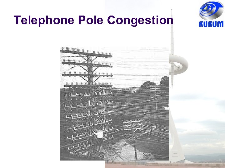 Telephone Pole Congestion 