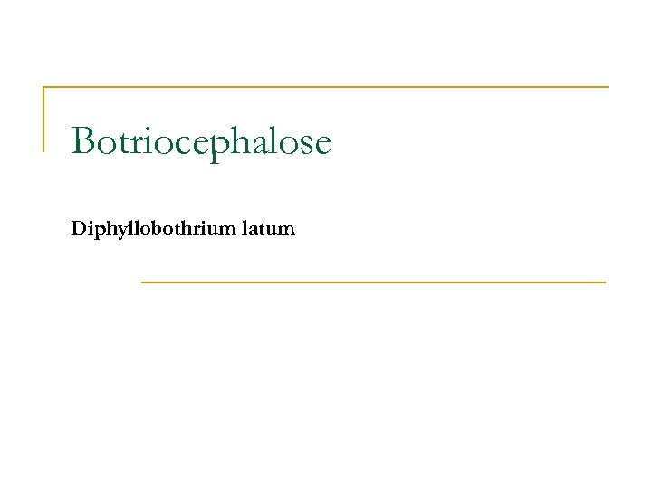 Botriocephalose Diphyllobothrium latum 