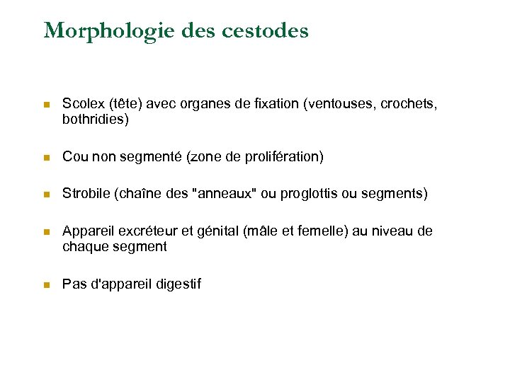 Morphologie des cestodes n Scolex (tête) avec organes de fixation (ventouses, crochets, bothridies) n