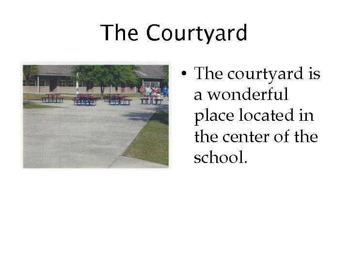 The Courtyard • The courtyard is a wonderful place located in the center of