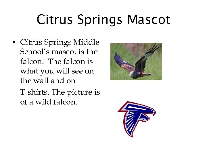 Citrus Springs Mascot • Citrus Springs Middle School’s mascot is the falcon. The falcon