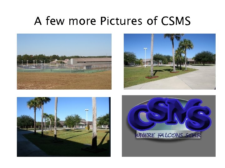 A few more Pictures of CSMS 