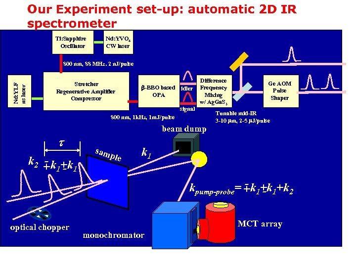 Our Experiment set-up: automatic 2 D IR spectrometer Ti: Sapphire Oscillator Nd: YVO 4