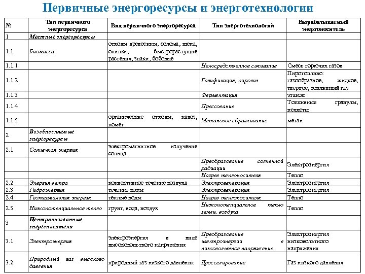  Первичные энергоресурсы и энерготехнологии 1 Тип первичного энергоресурса Местные энергоресурсы 1. 1 Биомасса