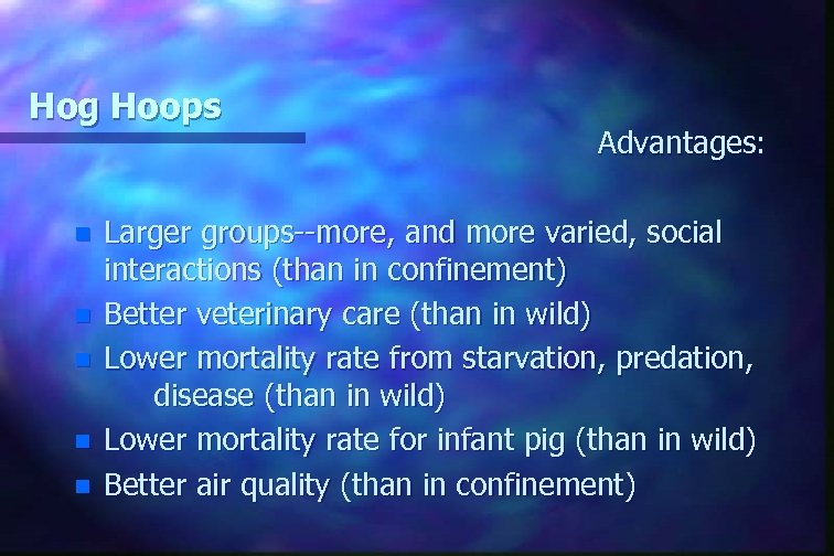 Hog Hoops n n n Advantages: Larger groups--more, and more varied, social interactions (than