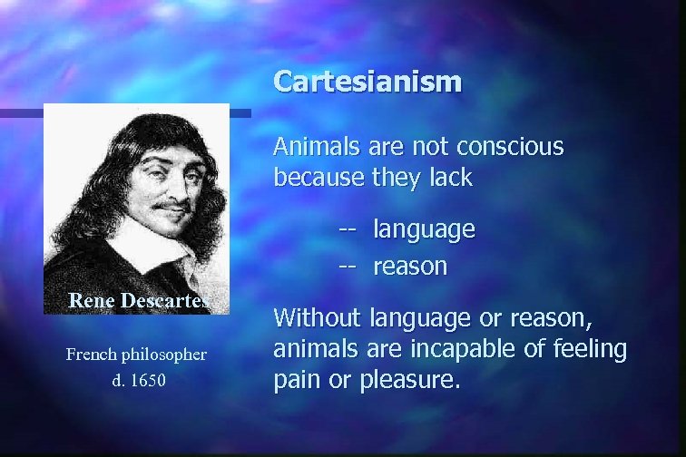 Cartesianism Animals are not conscious because they lack -- language -- reason Rene Descartes