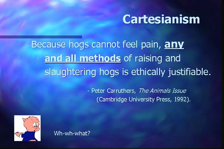 Cartesianism Because hogs cannot feel pain, any and all methods of raising and slaughtering