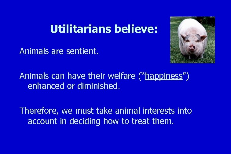 Utilitarians believe: Animals are sentient. Animals can have their welfare (“happiness”) enhanced or diminished.