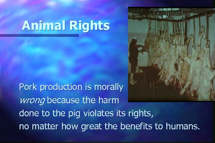 Animal Rights Pork production is morally wrong because the harm done to the pig