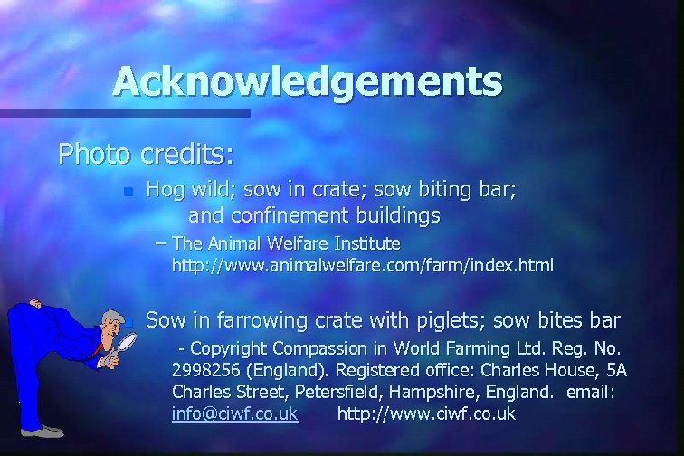 Acknowledgements Photo credits: n Hog wild; sow in crate; sow biting bar; and confinement