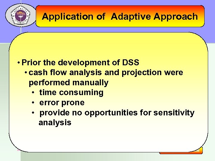 Application of Adaptive Approach • Prior the development of DSS • cash flow analysis