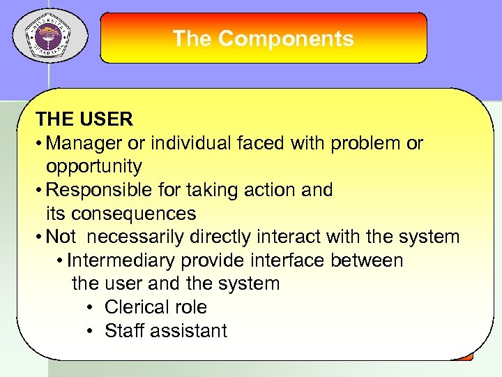 The Components THE USER • Manager or individual faced with problem or opportunity •